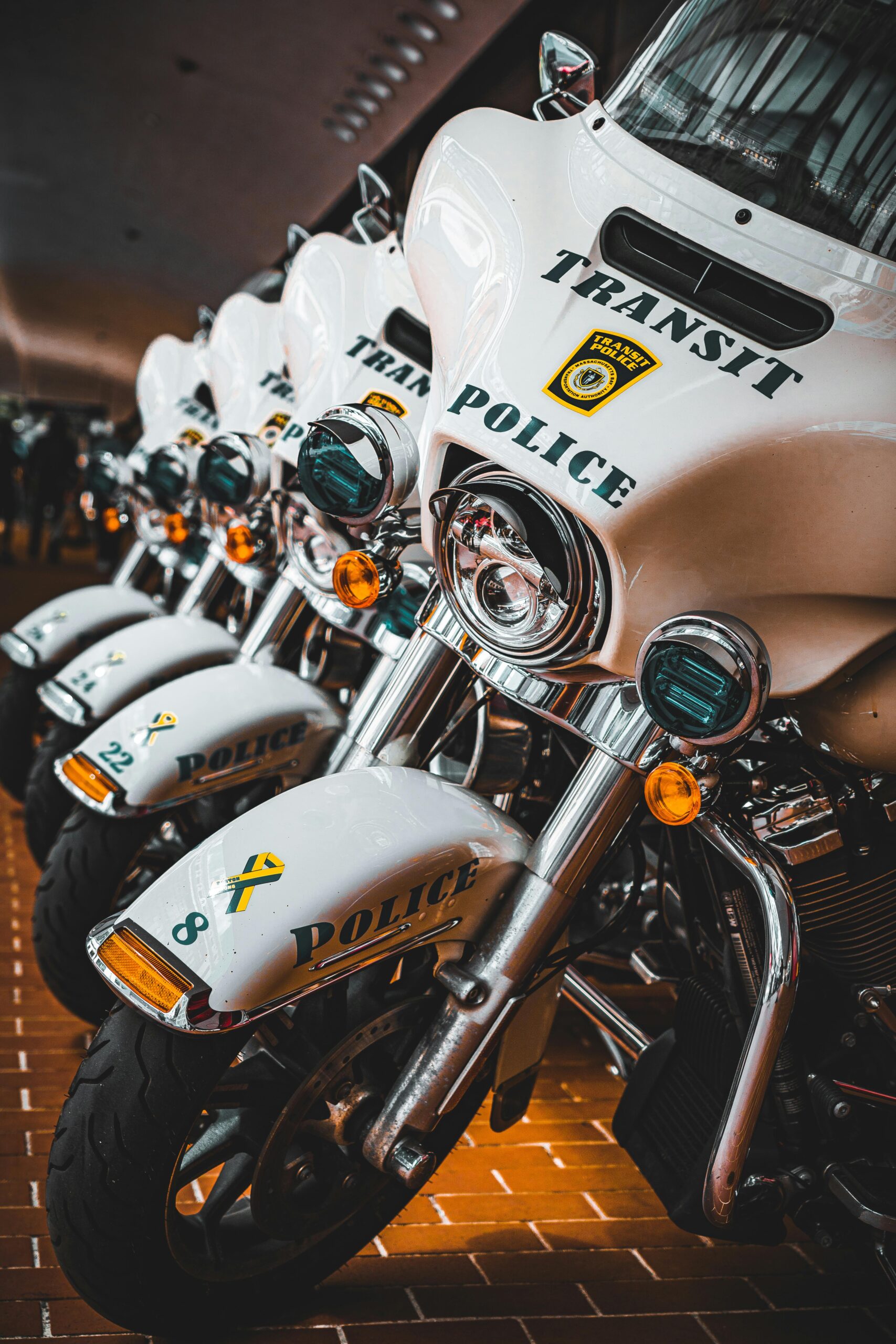 How to Use Blog Series to Build Authority Links Effectively