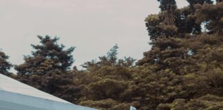 Why Guest Posting Is the Most Natural Link Building Method?