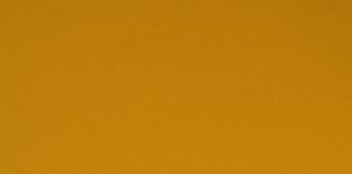 Guest Posting in 2025: Discover What’s Evolved and What Remains