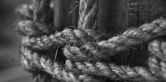 How to Choose a Reliable Guest Posting Agency for Maximum Impact