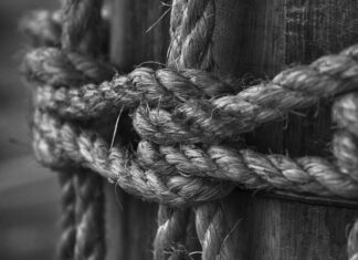 How to Choose a Reliable Guest Posting Agency for Maximum Impact