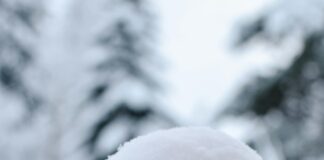 How to Get Guest Post Opportunities Without Cold Emails Effortlessly