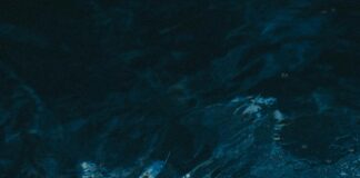 How To Personalize Blogger Outreach For Exceptional Response Rates