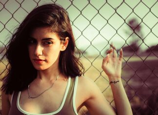 The Difference Between Editorial Links and Sponsored Links: What’s Best?