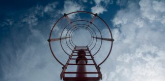 Backlink ROI Benchmarks by Industry: Unlocking Your Website’s Potential