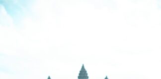 Backlink Quality vs. Quantity: Which One Boosts Your SEO More?