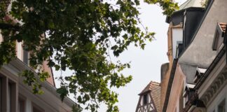 Link Building for Local Businesses: Unlock Success with These Tips