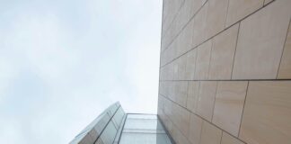 How to Balance Link Building and Content Marketing for Success