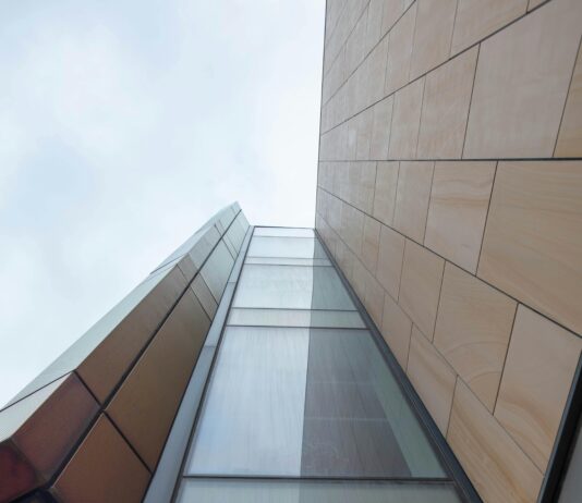 How to Balance Link Building and Content Marketing for Success