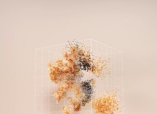 The Role of Backlinks in Google’s Ranking Algorithm Explained