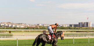 Blogger Outreach Metrics You Should Track For Maximum Impact