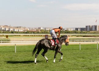 Blogger Outreach Metrics You Should Track For Maximum Impact