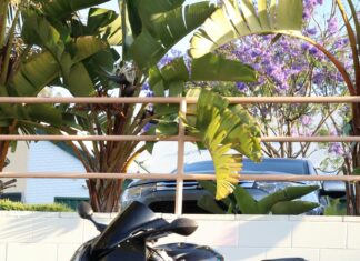 Link Velocity: How Fast Should You Build Links for Success?