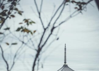 How to Build a Blog That Attracts Natural Backlinks Effortlessly