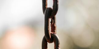 Backlink Decay: Uncover Why Good Links Disappear and Solutions