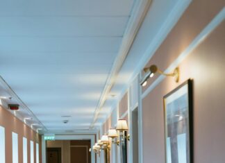 Backlink Building vs. Guest Posting: Which Strategy Reigns Supreme?