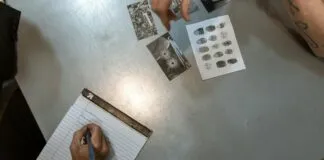 How to Write Case Studies That Earn Backlinks and Boost Traffic