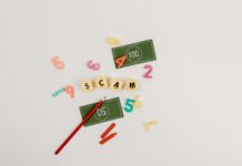 How to Manage Backlink Risk Effectively and Boost Your SEO