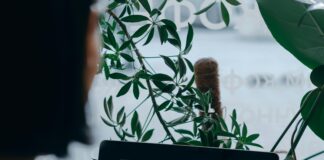 How to Use Competitor Backlink Analysis for Explosive Growth