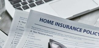 How to Manage and Track Your Backlink Portfolio for Success