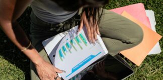 How to Earn Natural Backlinks Through Data Studies Effectively?