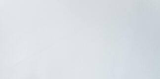 Blogger Outreach vs. Influencer Marketing: Which Drives Better Results?