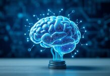 Boosting Cognitive Performance: The Intersection of Technology and Wellness Boosting Cognitive Performance: The Intersection of Technology and Wellness