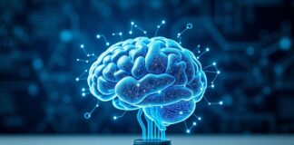 Boosting Cognitive Performance: The Intersection of Technology and Wellness Boosting Cognitive Performance: The Intersection of Technology and Wellness